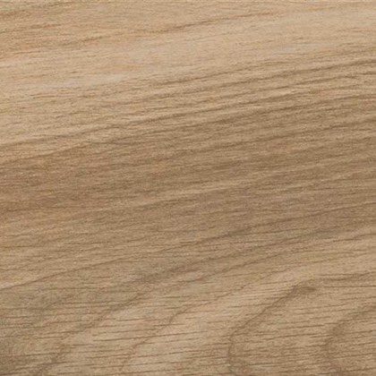 Colore Miele della collezione Savage